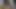 Evet efendim daha fazla kedi kedi kedi