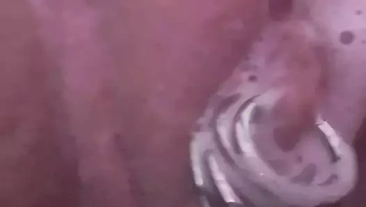 Fotze rasiert