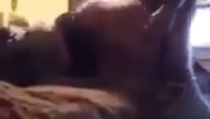 İri güzel kadın domaltmalı