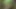 Fuck and Suck BIG Tits Stranger in Woods
