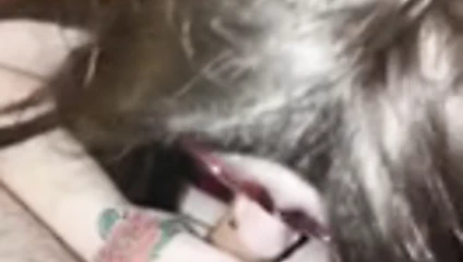 Yetişkin çalışmasından Titsarsetatts