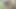 Üvey babam ve arkadaşı beni çok iyi sikiyor