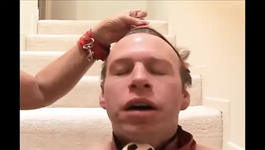 Büyük yaşlı kedi