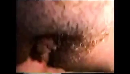 Kahrolası ona şişman kedi