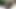 Olgun Kızlar Bahçede Birbirlerine Mastürbasyon Yapıyor Ve Birbirlerinin Vajinalarını Dildo Yapıyor