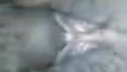 Gök