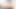 Dik tranny gabi lins cums sert süre alma bir bbc içinde göt