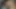 Seksi ateşli Georgia Jones lezbiyen Lily Cade ile sikişiyor
