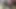 oynama ile sıcak 18 yo kedi