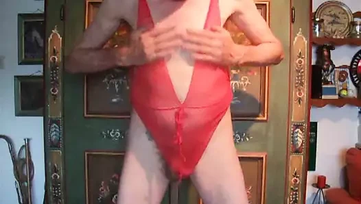 Meine Bodys, Hemdchen und Dessous (Music-Mix)