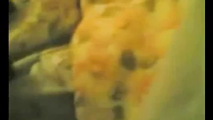 güzel arap emme &amp; lanet