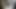 tribute auf foto