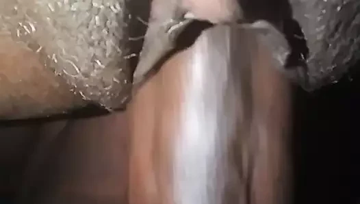 ince tatlım ıslak KEDİ iyi