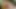 Oopsie - lezbiyen masöz orta yaşlı seksi kadınlar summer hart ve codi vore takım trans bebek eva maxim