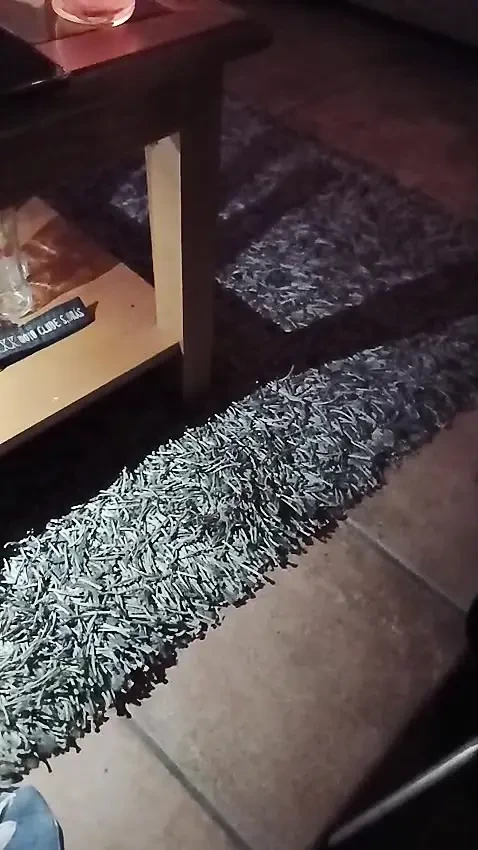 İlk video