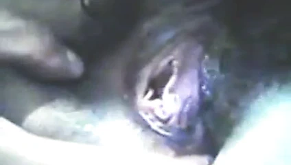 Zhangjiajing iffetsiz renk hemşireler Tayvanlı tayvan hemşireler