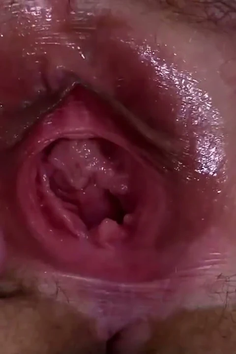 Hairy Pussy