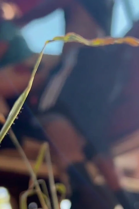 Geri yoluma devam etmeyi bırak ve beni sik - açık havada seks neredeyse yakalanıyor