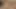 Ateşli ve seksi genç lezbiyenler birbirlerinin amını yalıyor