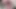 Dildoya binerken külotumda pembe etek giyiyorum."