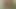 köpek ve anal
