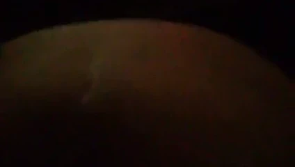 Pis yerli köpek kedi osuruk