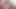 Chloe-delaure: chloe delaure ve jorge anal sikiş
