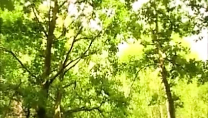 Deutscher Porno 3