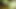 Hint bengalce yeni karısı düğün gecesi fuck – hardcore ve cum