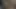 KEDİ olduğunu her zaman aç için ham horoz