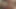 Lola bunny uzay reçeli anal hentai tüylü animasyonlu