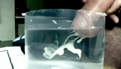suda sperm