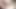 21 sextreme - azgın kız Rebecca Black sevimli sarışın Zazie Skymm'a götüne yumruk sokuyor