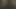 Dev bbc vs sıska beyaz civciv
