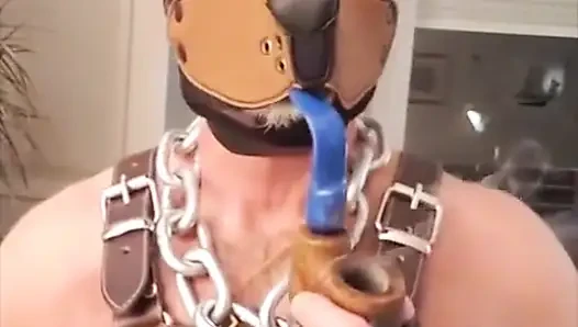 Köpek Baba