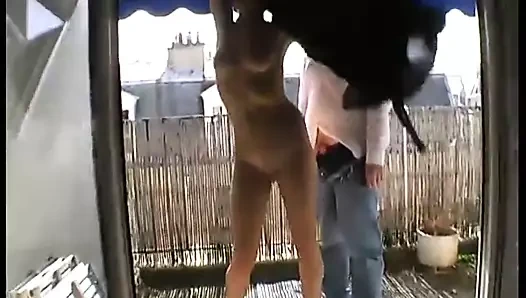 Salope Bourgeoise un coup dans le pif se fait sodomiser !!