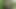 Amatör porno videoda üçlü seks