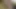 Kedi ve ağız arasında sıcak monika dolu ile seks yabancı horoz