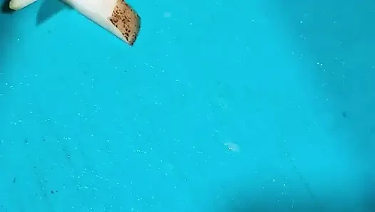 Büyük memeli yemek pişirelim bölüm 1