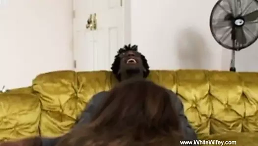 Büyük siyah horoz için dik beyaz eş