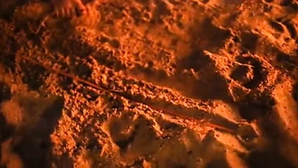 Ayakta idrar yapan kıllı kadınlar