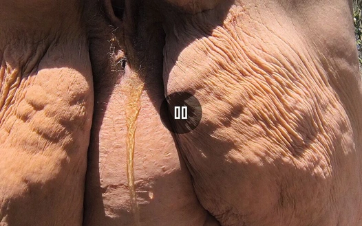 Genç erkek avcısı kıyafetlerini bırakıyor ve sarı sidik sakso çekiyor