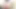 A prostitute in Pattaya uses a dildo to penetrate her vagina and sends videos to clients. RealThaiSolo