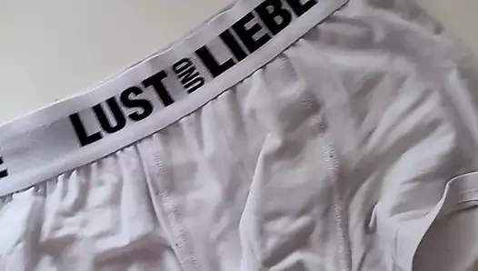 Neue boksör