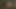 Skyrim seksi dans beyefendi waveya hdt(futanari)