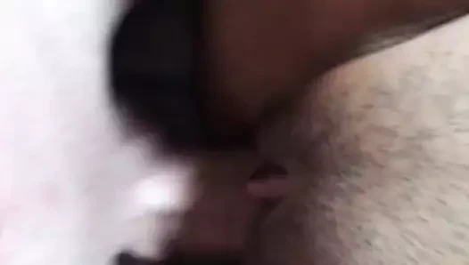 İçinde ona Tayland kedi yakın çekim