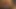 Tumblr kullanıcı baghox pembe bir yapay penis sürme
