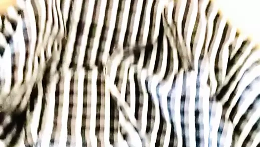 Evde yalnız. savannah milleri kahvaltıda kullanışlı oluyor