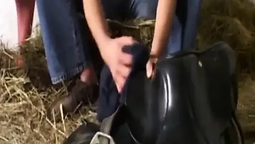 Olgun Sürtükler Vahşi Sert Sikiş Festivali