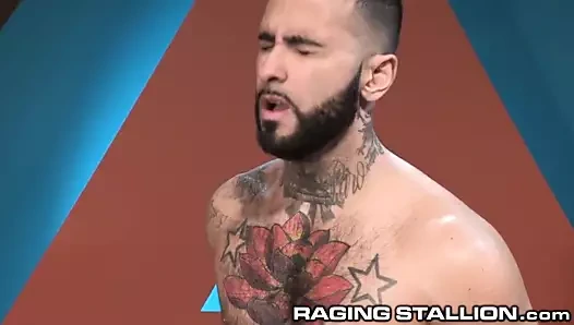 Ragingstallion sakalları, tutku ve anal